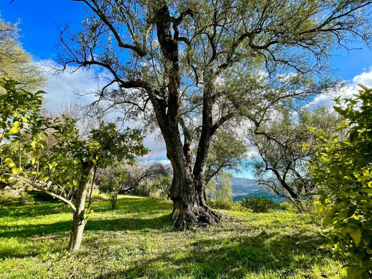 La Esperanza Granada Luxury Hacienda & Private Villa Салерес Экстерьер фото